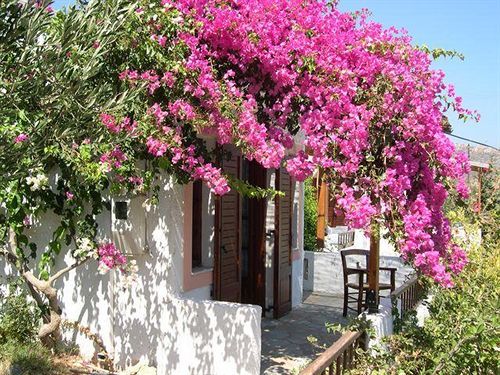 Casa di Mare Apartment Palekastro Bagian luar foto